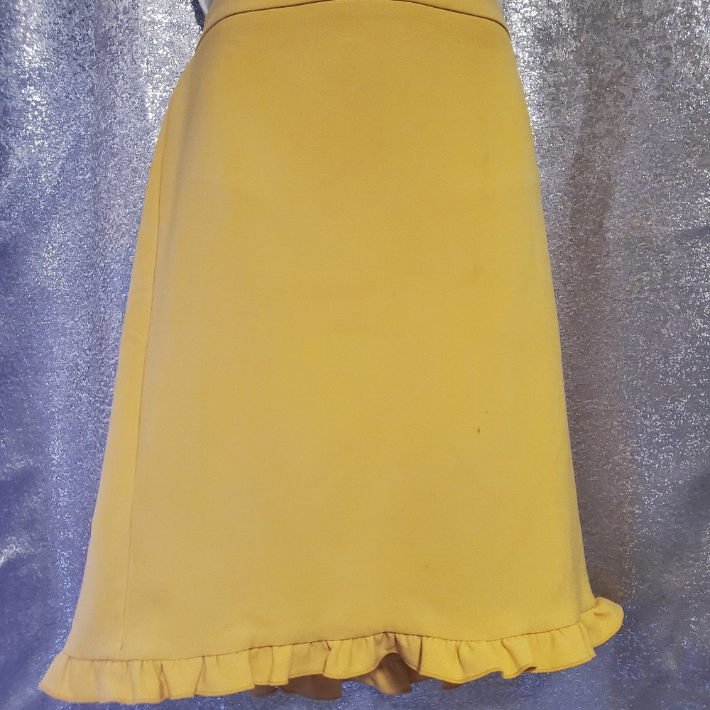 Knee Length Pencil Skirt